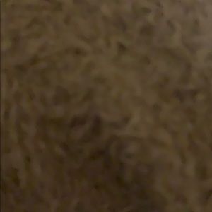 Meet your Posher, Brandy